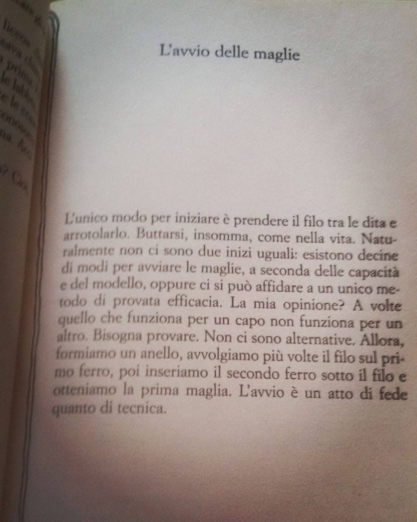 14375402_10211046285781044_896828049_o