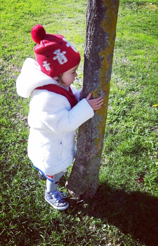 A te che abbracci gli alberi